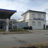 Il delfino  si trovava sugli scogli situati di fronte al distributore di benzina di via Di Cagno Abbrescia...